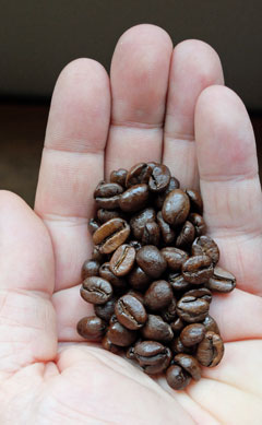 Costa Rica coffee beans.