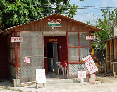 Where to find a cup of inexpensive Jamaican Blue Mountain coffee.